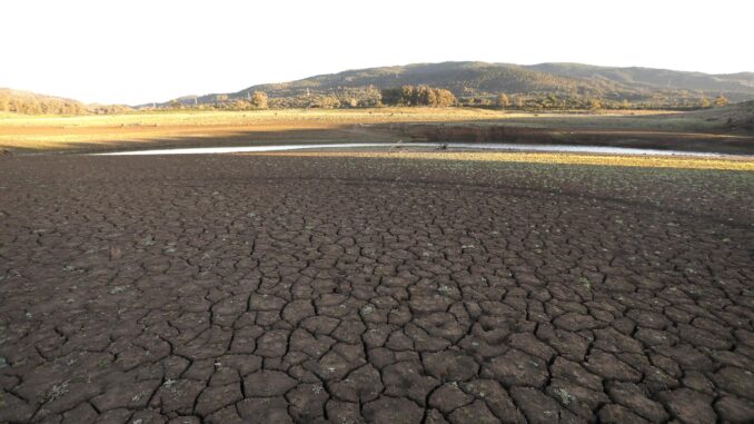 En la foto, el embalse de Charco Redondo en el término municipal de Los Barrios (Cádiz), la semana pasada. EFE/A.Carrasco Ragel.
