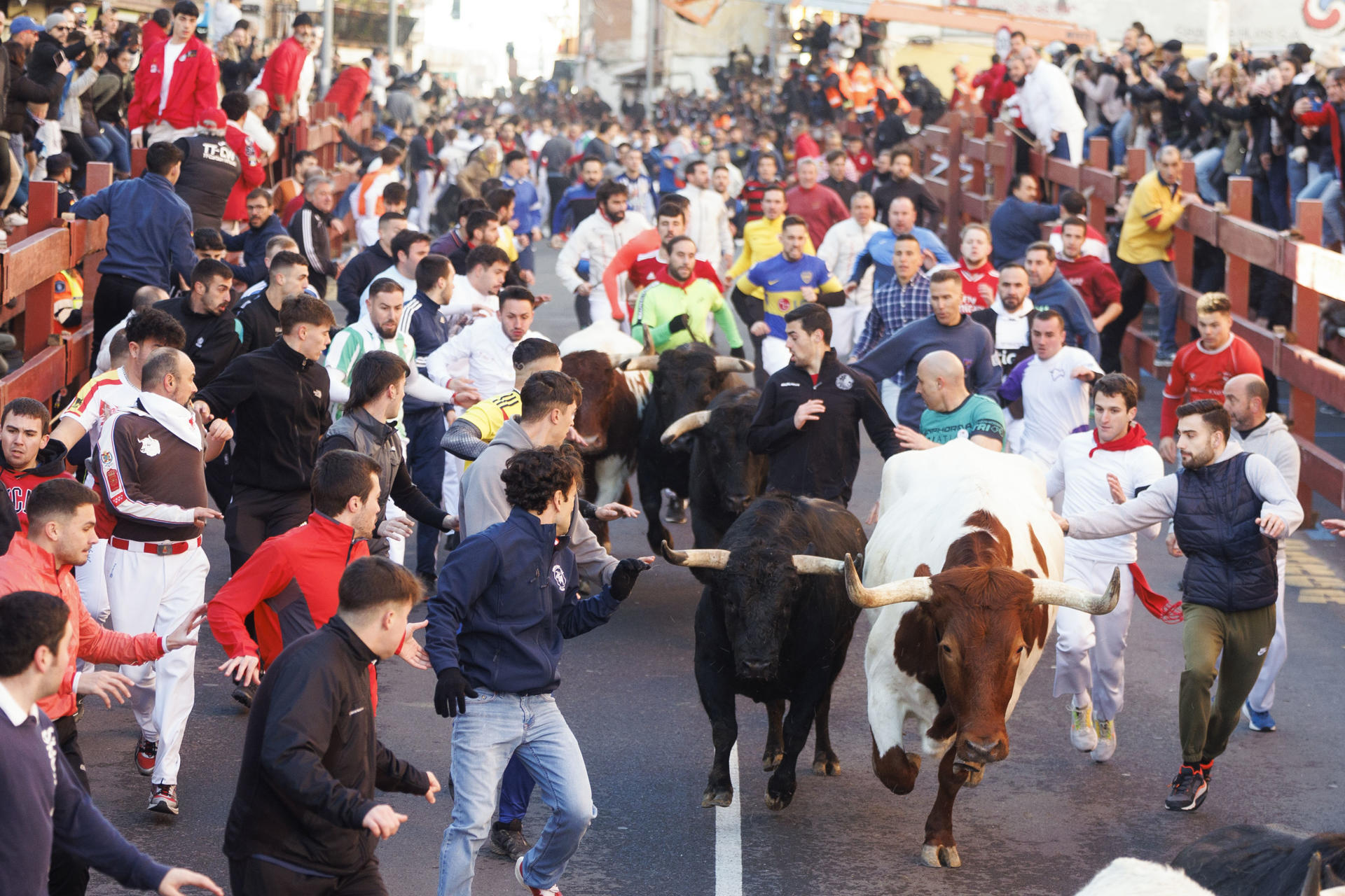 "Encierros Blancos" en San Sebastián de los Reyes, Madrid, este sábado. EFE/Sergio Pérez
