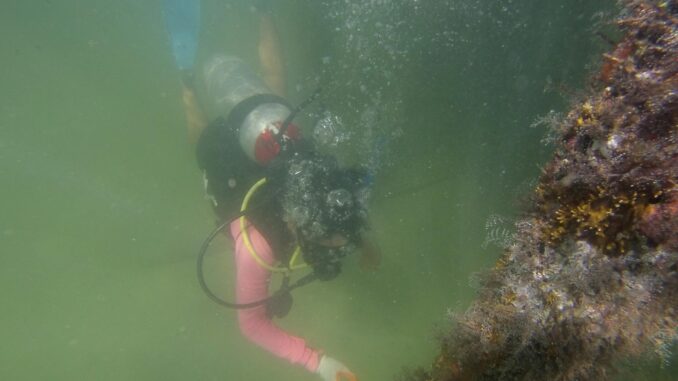 Fotografía de archivo de un submarinista en el fono marino. EFE/Lourdes Cruz
