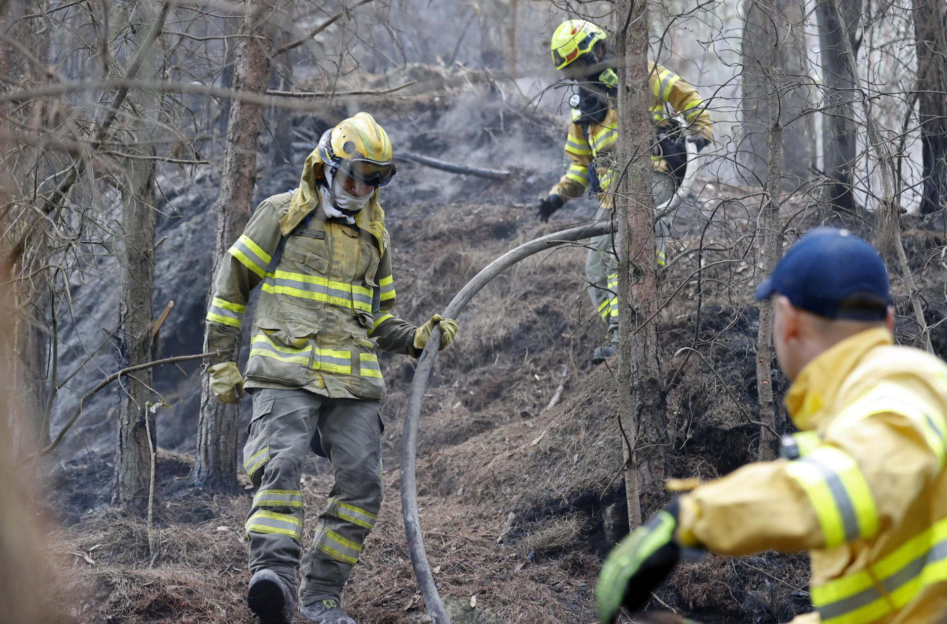 Bomberos trabajan en la extinción de un incendio hoy, en el cerro El Cable, en Bogotá (Colombia). EFE/Mauricio Dueñas Castañeda
