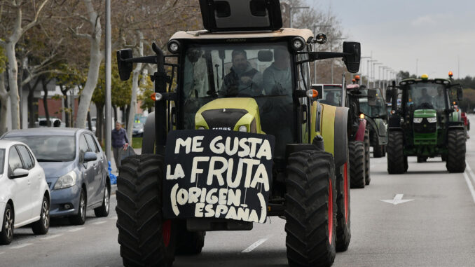 Imagen de tractores recorriendo este lunes las calles de Palma para defender el campo balear ante la crisis que atraviesa el sector. EFE/MIQUEL A. BORRÀS
