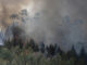 Decenas de eucaliptos arden en un reciente incendio forestal en Cantabria, en una imagen de archivo. EFE/Pedro Puente Hoyos