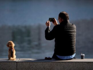 Un hombre disfruta de un día soleado de A Coruña en compañía de su perro, en una fotografía de archivo.EFE/ Cabalar