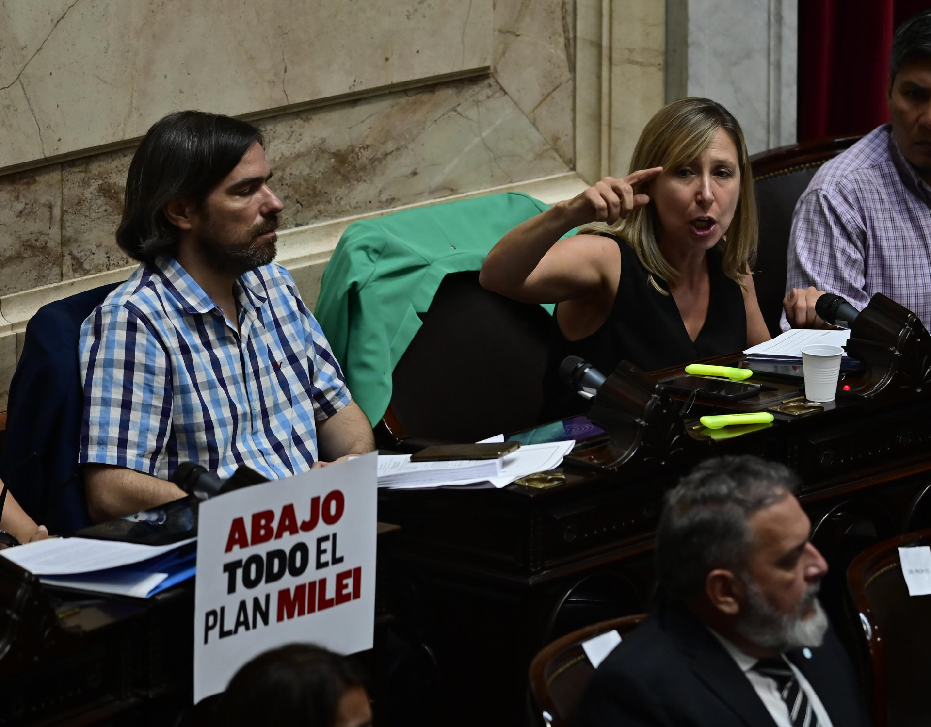 La diputada Myriam Bergman interviene durante una sesión de debate en la Cámara de Diputados, en Buenos Aires (Argentina). EFE/Matías Martín Campaya
