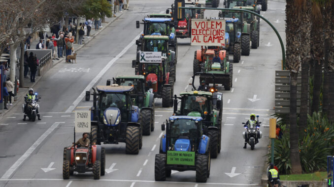 Unos 170 tractores de toda Mallorca participaron el pasado día 19 en una tractorada que recorrió las calles de Palma para defender el campo balear ante la crisis que atraviesa el sector. EFE/CATI CLADERA