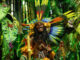 Miembros de la escuela de samba Salgueiro desfilan durante el carnaval de Río de Janeiro, Brasil, el 11 de febrero de 2024. EFE/ Antonio Lacerda