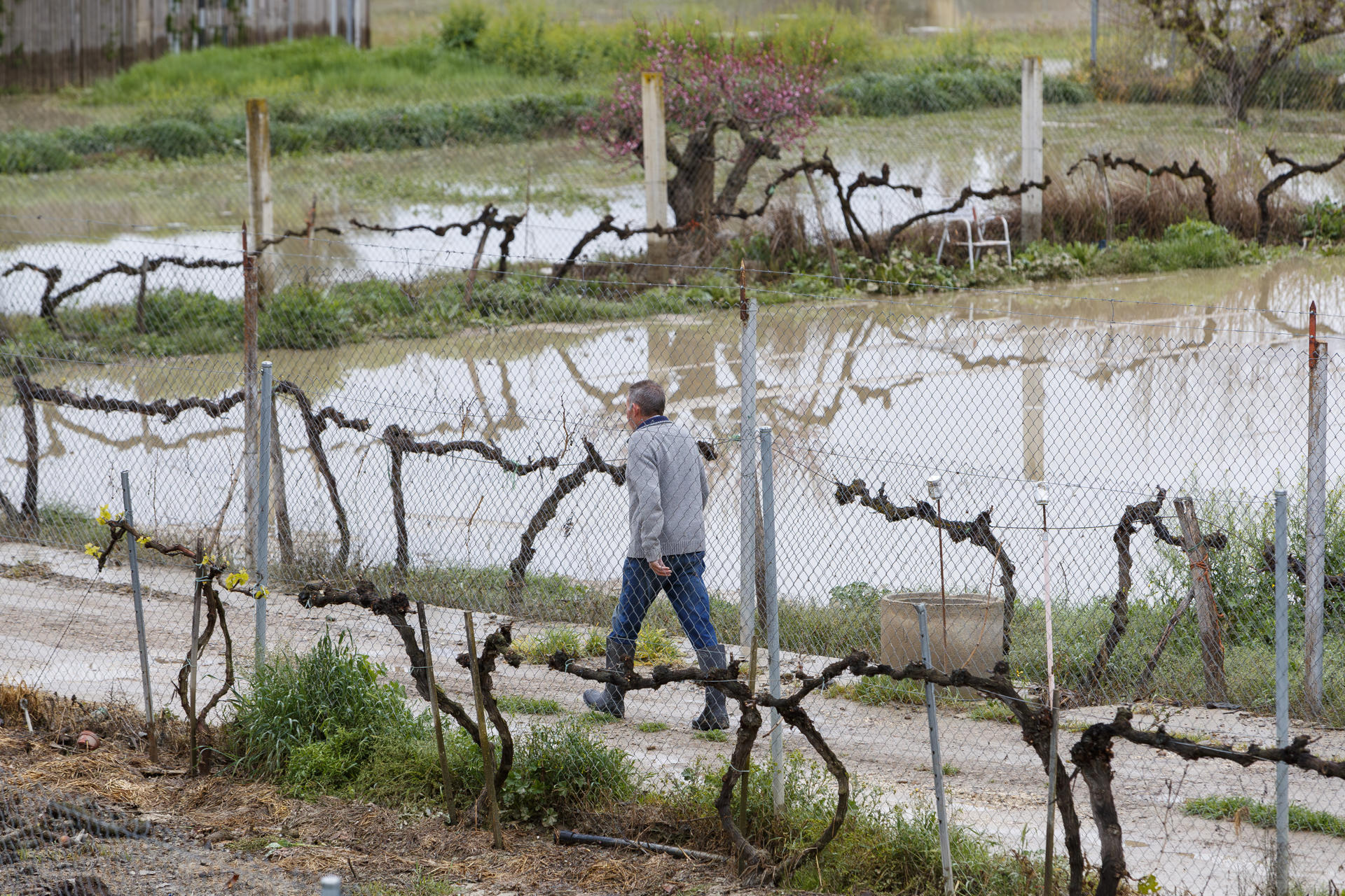 Un vecino de Zuera observa los campos anegados tras la crecida del río Gállego este domingo. La crecida máxima del río Gállego ha alcanzado esta madrugada el municipio de Zuera y está previsto que llegue a Zaragoza capital a lo largo de la mañana de este domingo, con un caudal de más de 300 metros cúbicos por segundo, según información facilitada por la Confederación Hidrográfica del Ebro (CHE).-EFE/ Javier Belver
