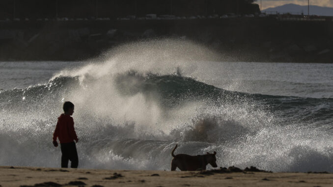 Un niño juega con su perro en una playa, en una imagen de archivo. EFE/Juan Herrero.
