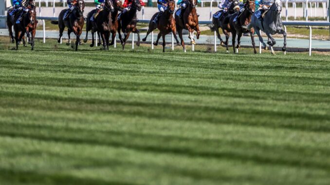 Fotografía de una carrera en el Hipódromo de la Zarzuela, en foto de archivo de Juanjo Martín. EFE
