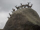 Fotografía tomada el 17 de mayo de 2020 de un grupo de cabras montés en La Pedriza. EFE/Santi Burgos. 
-SOLO USO EDITORIAL/SOLO DISPONIBLE PARA ILUSTRAR LA NOTICIA QUE ACOMPAÑA (CRÉDITO OBLIGATORIO)-