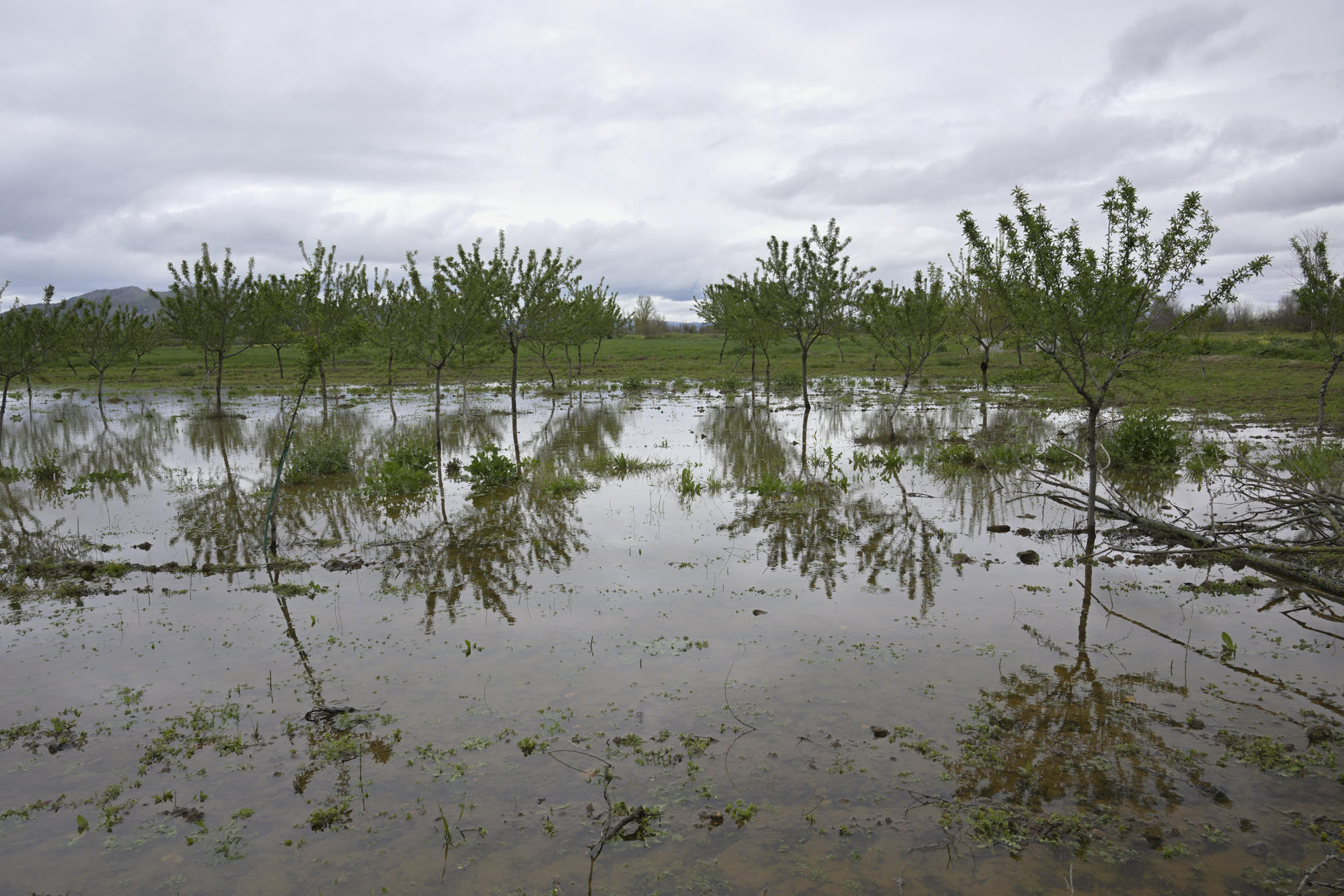 El caudal del río Bañuelos ha comenzado a disminuir en las últimas horas y con ello también se reducen la posibilidad de que el municipio de Fernán Caballero, que se encuentra desde en alerta ante el riesgo de sufrir inundaciones desde anoche, pueda ver algunas partes de su casco urbano afectadas por el agua. Así lo ha explicado a EFE el presidente de la Confederación Hidrográfica del Guadiana (CHG), Samuel Moraleda, quien ha recordado que a las 22:00 horas de ayer como consecuencia de las previsiones de continuación de precipitaciones emitidas por Agencia Estatal de Meteorología (Aemet) el Gobierno de Castilla-La Mancha activaba el Plan Especial de Protección Civil ante el riesgo de inundaciones de Castilla-La Mancha (PRICAM) en fase de Alerta para la provincia de Ciudad Real. EFE/Jesús Monroy
