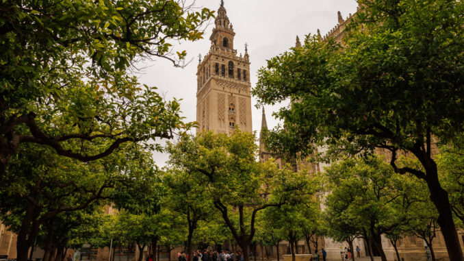 Vista, desde el Patio de los Naranjos de la Catedral de Sevilla, de la fachada norte y oeste de la Giralda cuya restauración integral ha concluido tras siete años de trabajos, incluido el parón por la pandemia, que le han permitido superar los daños causados por el paso del tiempo, con una inversión de tres millones de euros financiados en exclusiva por el Cabildo catedralicio. EFE/ Julio Muñoz
