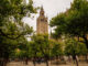 Vista, desde el Patio de los Naranjos de la Catedral de Sevilla, de la fachada norte y oeste de la Giralda cuya restauración integral ha concluido tras siete años de trabajos, incluido el parón por la pandemia, que le han permitido superar los daños causados por el paso del tiempo, con una inversión de tres millones de euros financiados en exclusiva por el Cabildo catedralicio. EFE/ Julio Muñoz