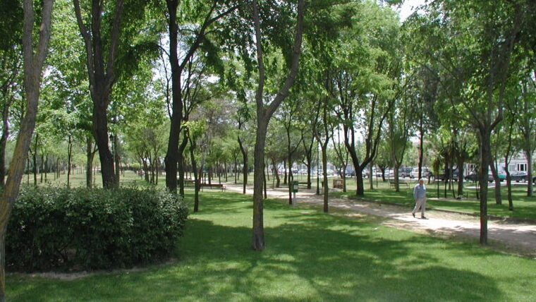 Getafe ha comenzado el control de los mosquitos y moscas negras