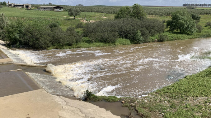 El cauce del río Guadiamar a su paso por Gerena (Sevilla) camino de Doñana, donde es el principal surtidor de agua desde Sevilla al parque nacional. EFE/ Fermín Cabanillas
