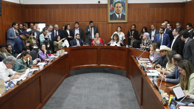 La presidenta de la Comisión Séptima del Senado, Martha Isabel Peralta Epieyu (c), habla este miércoles durante un debate en la sala de la Comisión, en Bogotá (Colombia). EFE/Carlos Ortega
