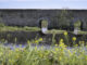 El río Gigüela, bajo el puente romano de Arenas de San Juan (Ciudad Real), diez años después de que lo hiciera la última vez en el año 2014, ha comenzado a aportar agua de forma natural al Parque Nacional de Las Tablas de Daimiel, uno de los humedales más importantes de la Península Ibérica. EFE/Jesús Monroy