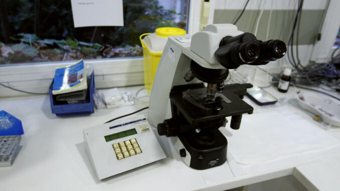 Imagen de archivo de un laboratorio. EFE/Javier López/ra
