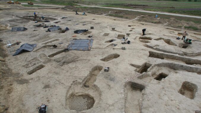 Trabajos de excavación realizados por la Universidad Eötvös Loránd en el cementerio de época ávara (siglos VI-IX d.C.) de Rákóczifalva, Hungría, en 2006. Crédito: Instituto de Ciencias Arqueológicas, Múzeum de la Universidad Eötvös Loránd, Budapest (Hungría).
