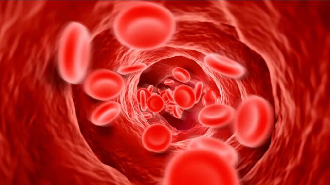 Un estudio dirigido por los Institutos Nacionales de Salud de los Estados Unidos (NIH) halla marcadores genéticos que explican hasta el 12% de las diferencias entre la presión arterial de dos personas. Crédito: Darryl Leja, Instituto Nacional de Investigación del Genoma Humano.
