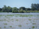 Vista de las marismas de la aldea almonteña de El Rocío (Huelva) junto al Parque Nacional de Doñana, en una imagen  de archivo. EFE/ Julián Pérez