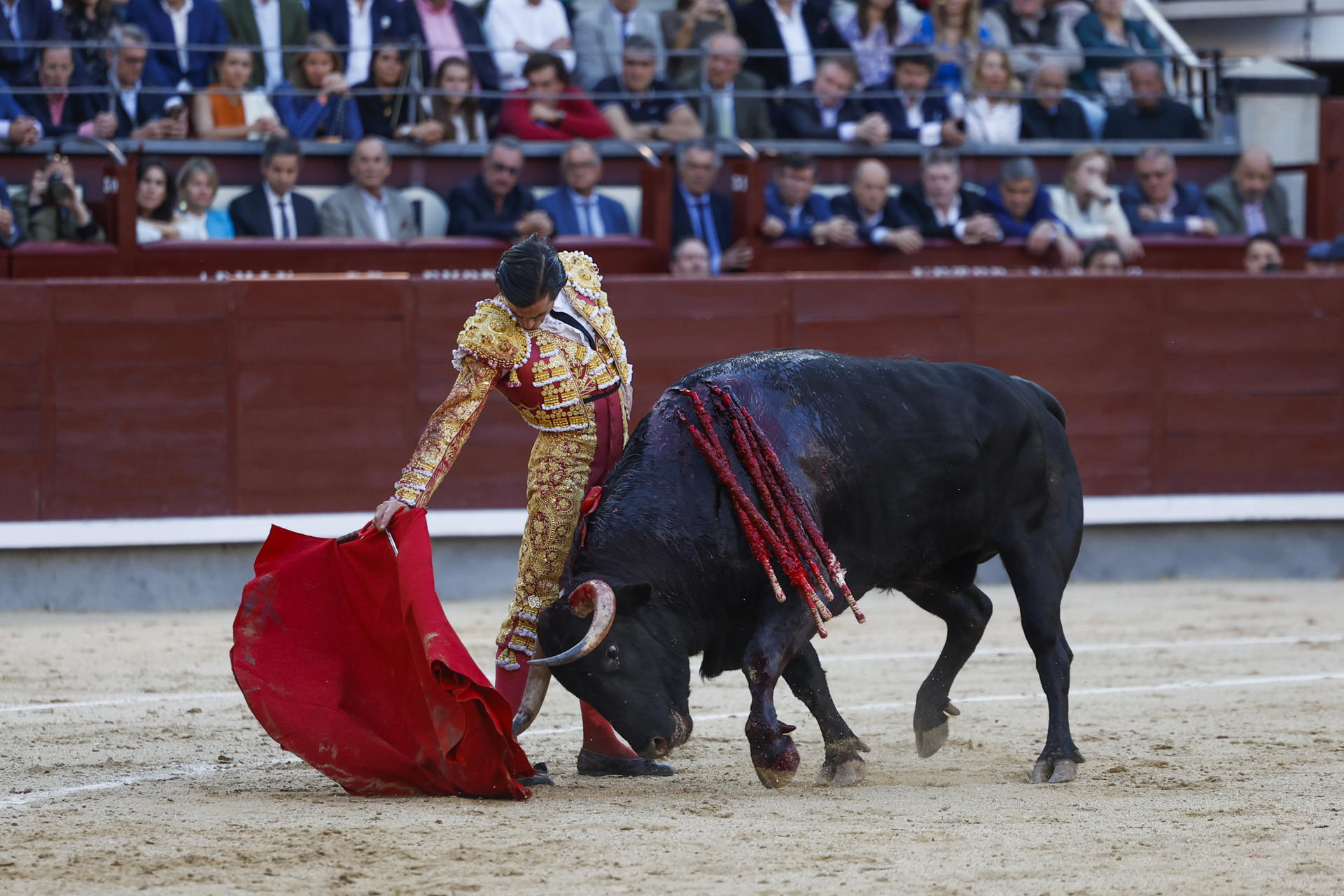 El diestro Juan Ortega da un pase durante la duodécima corrida de la Feria de San Isidro, con toros de la ganadería salmantina de El Puerto de San Lorenzo para Alejandro Talavante, Juan Ortega y Tomás Rufo, este jueves en la Plaza de Toros de Las Ventas. EFE/JuanJo Martín
