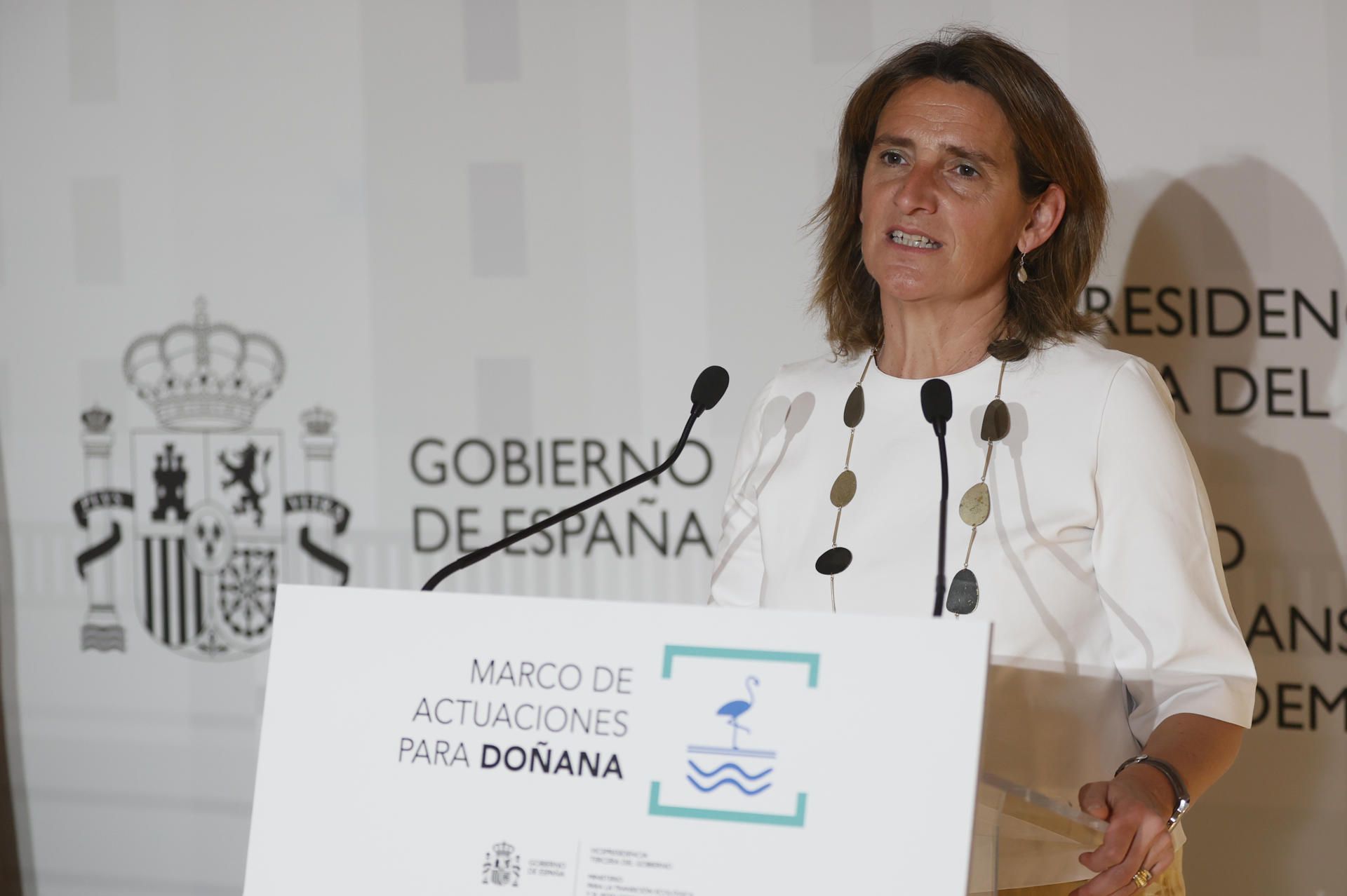 La vicepresidenta del Gobierno y ministra para la Transición Ecológica y el Reto Demográfico, Teresa Ribera, participa este lunes en Sevilla en el acto de firma con los 14 ayuntamientos del entorno de Doñana para el reparto de los 70 millones correspondientes al Marco de actuaciones para el desarrollo territorial sostenible del área de influencia del espacio natural.EFE/ Jose Manuel Vidal
