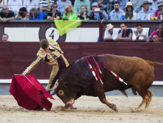 El diestro Borja Jiménez en su faena al segundo de su lote durante el festejo taurino de la Feria de San Isidro celebrado hoy viernes en la Monumental de Las Ventas. EFE/ Borja Sánchez-Trillo.