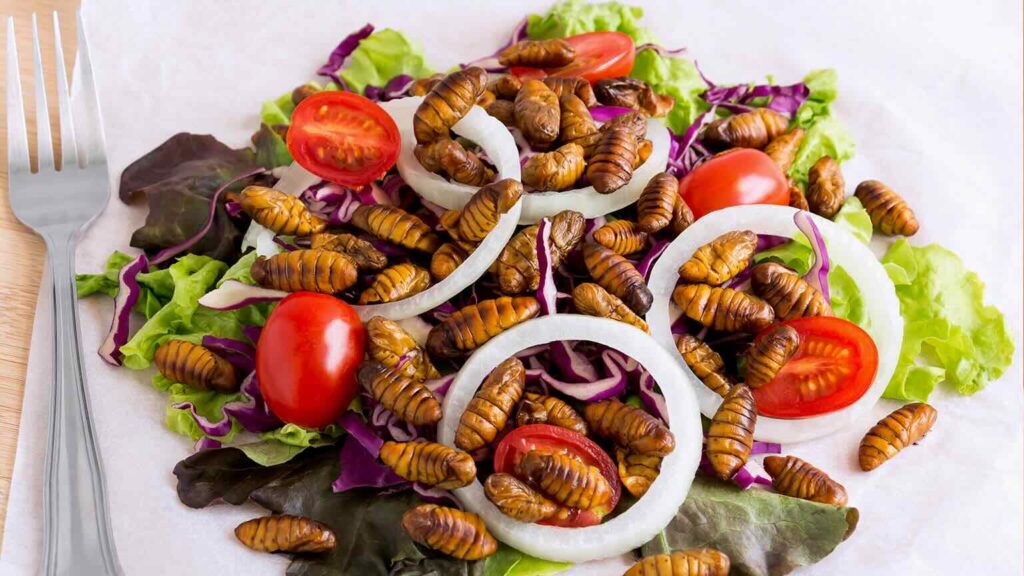 Desmintiendo bulos: La realidad de los insectos como alimento