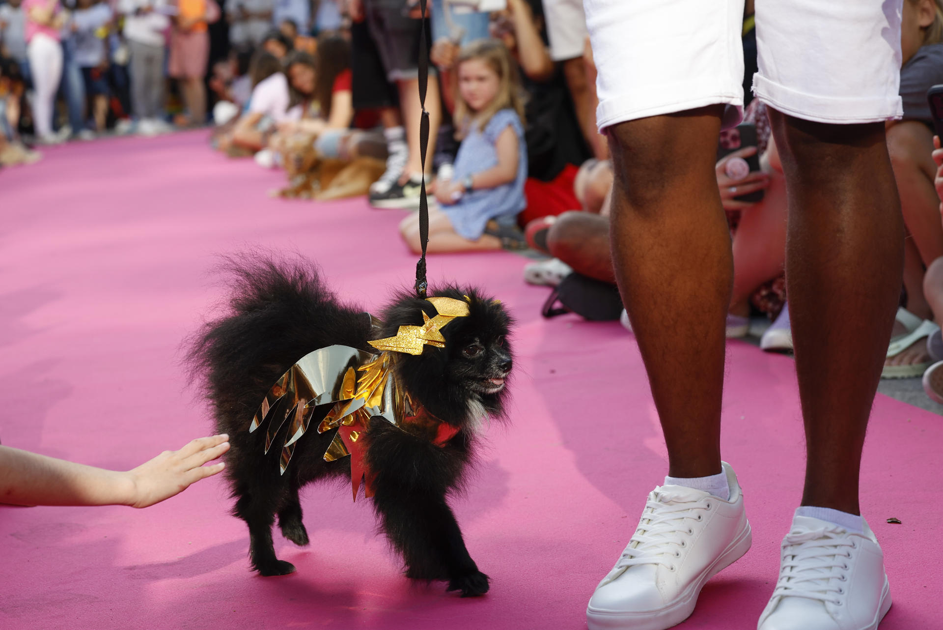 Un momento del evento "Plumas y Patitas", para promover la adopción de mascotas y la lucha contra el maltrato animal, este domingo en Madrid. EFE/ Chema Moya
