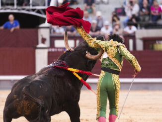 El diestro mexicano Isaac Fonseca recibe una cornada durante la corrida de la Feria de San Isidro celebrada hoy Domingo en la plaza de toros de Las Ventas, en Madrid. EFE / Borja Sánchez-Trillo.