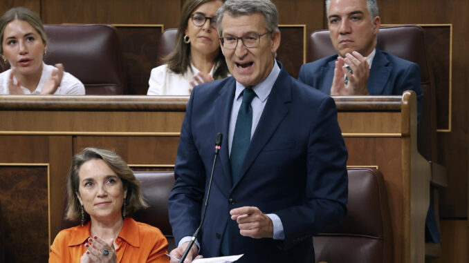 El líder del PP, Alberto Núñez Feijóo interviene en la sesión de control al Gobierno, en el Congreso de los Diputados este miércoles. EFE/ J P Gandul
