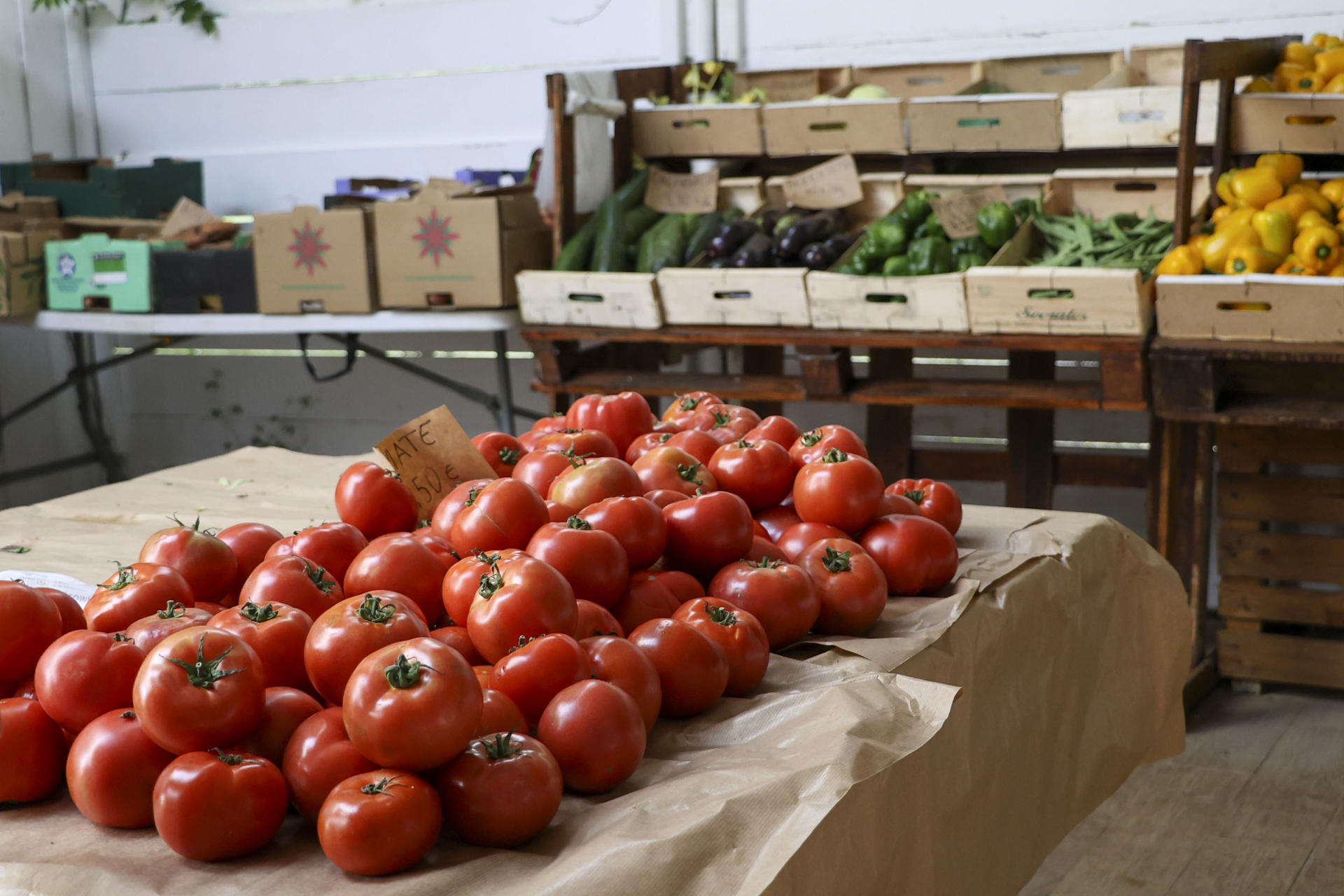 Jornada de puertas abiertas en la huerta "Eco tierra mojada", este domingo. Una treintena de granjas cántabras han abiertos sus puertas este fin de semana para que sus visitantes conozcan la labor "real" que llevan a cabo y se conviertan por unas horas en ganaderos, agricultores o apicultores. EFE/Celia Agüero Pereda
