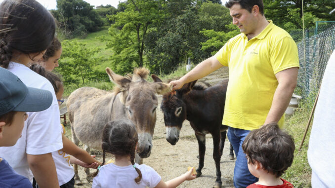 Una treintena de granjas cántabras han abiertos sus puertas este fin de semana para que sus visitantes conozcan la labor "real" que llevan a cabo y se conviertan por unas horas en ganaderos, agricultores o apicultores. EFE/Celia Agüero Pereda
