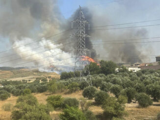 A media tarde de este miércoles se ha declarado un incendio forestal en el término de Loeches, según informa Emergencias 112 de la Comunidad de Madrid, que se está extendiendo a la zona urbana. Se ha procedido a cortar las carreteras M300 y M217 por el incendio. EFE/Ana Aragón