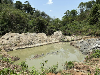 El sur de Ghana es un foco mundial de amenazas a la biodiversidad inducidas por la extracción. La minería artesanal de oro de aluvión a pequeña escala, como ésta, amenaza importantes zonas de aves debido a la contaminación ambiental por mercurio. Fotografía facilitada por David Edwards, investigador de la Universidad británica de Cambridge. EFE