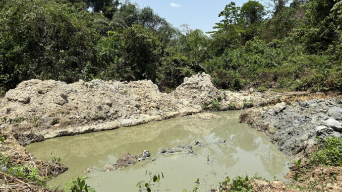 El sur de Ghana es un foco mundial de amenazas a la biodiversidad inducidas por la extracción. La minería artesanal de oro de aluvión a pequeña escala, como ésta, amenaza importantes zonas de aves debido a la contaminación ambiental por mercurio. Fotografía facilitada por David Edwards, investigador de la Universidad británica de Cambridge. EFE
