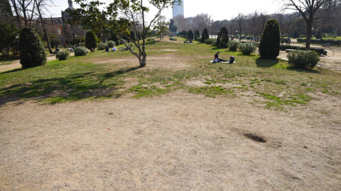 Fotografía de archivo de un parque. EFE/Quique García
