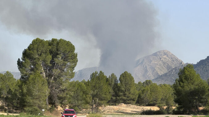 HELLÍN (ALBACETE ), 19/07/2024.- Columnas de humo provocadas por el incendio forestal que se ha declarado este viernes en el municipio albaceteño de Hellín y que ha afectado a unas 70 hectáreas. EFE / Miguel Andujar.
