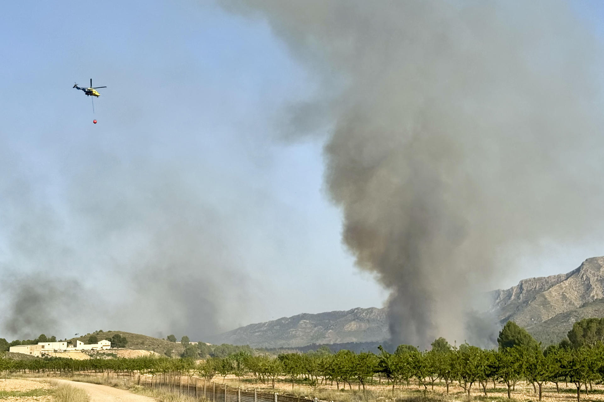 Columnas de humo provocadas por el incendio forestal que se ha declarado este viernes en el municipio albaceteño de Hellín y que ha afectado a unas 70 hectáreas. EFE / Miguel Andujar.
