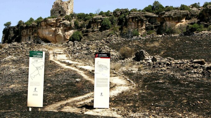 Imagen de archivo del paraje de pinares conocido como la Cueva de los Casares, en el término municipal de Riba de Saelices, donde se originó el incendio que se cobró la vida de once personas. EFE/Javier Lizón
