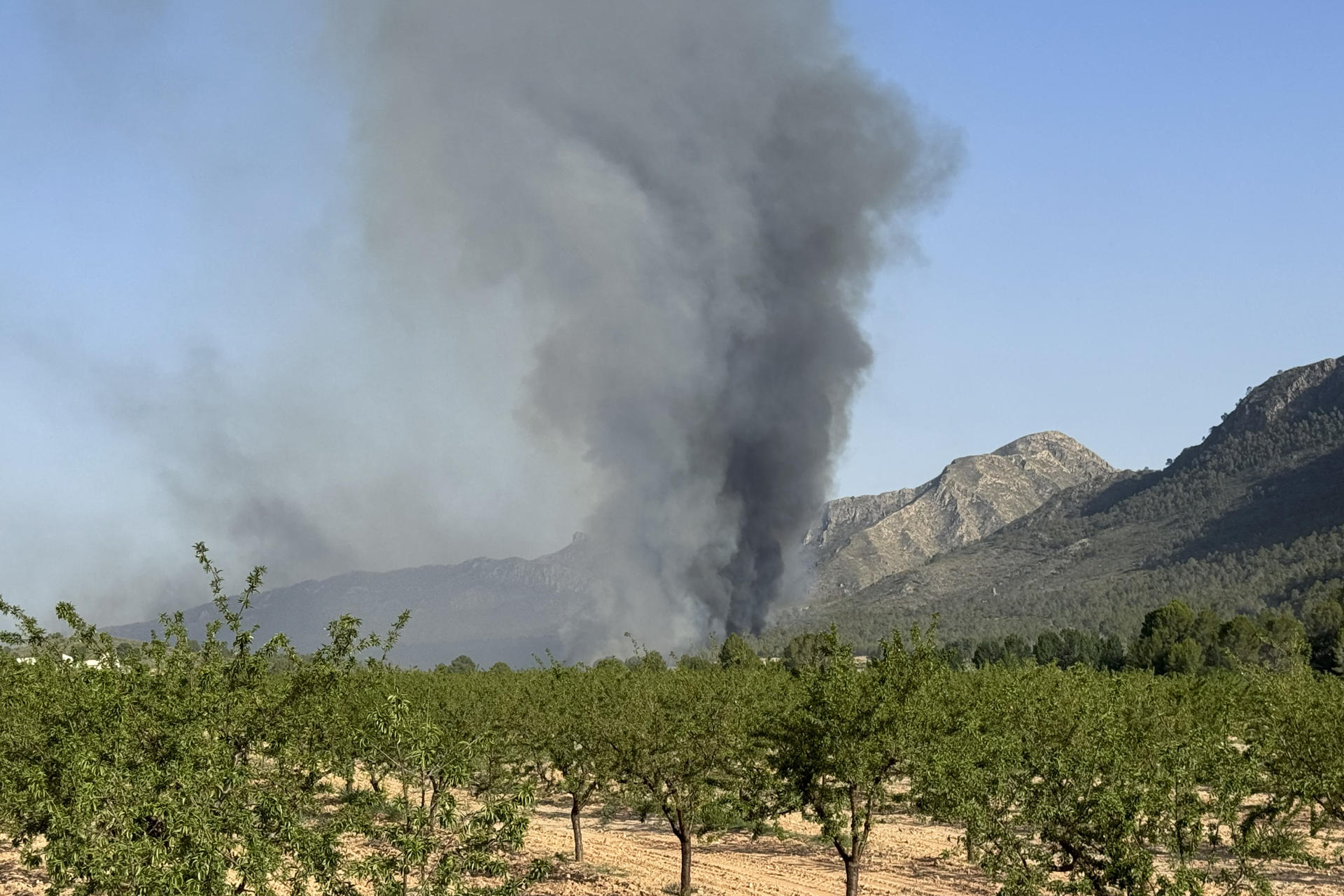 Columnas de humo provocadas por el incendio forestal que se ha declarado este viernes en el municipio albaceteño de Hellín y que ha afectado a unas 70 hectáreas. EFE / Miguel Andujar.
