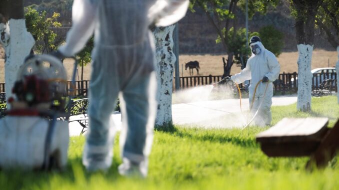 Un operario fumiga unos jardines en La Puebla del Río en un intento del Ayuntamiento por detener el mosquito que propaga al virus del Nilo. EFE/Pepo Herrera
