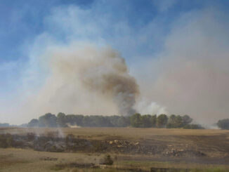 Medios combaten el incendio forestal en Valverdejo, en la provincia de Cuenca. EFE / Álvaro Del Olmo