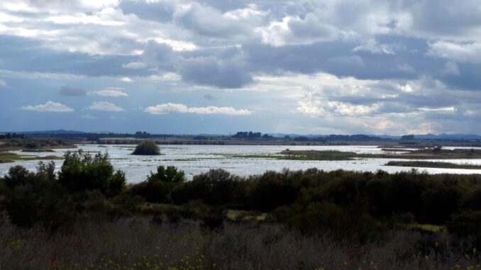 Imagen de archivo de las Tablas de Daimiel. EFE/ Beldad
