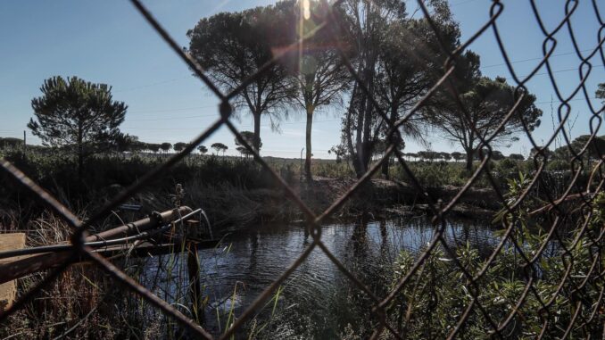Imagen de archivo de una balsa de riego en el entorno de Doñana. EFE/José Manuel Vidal
