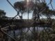 Imagen de archivo de una balsa de riego en el entorno de Doñana. EFE/José Manuel Vidal