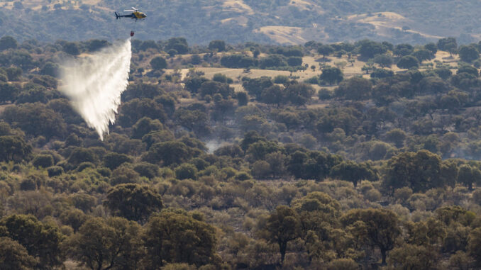 Los equipos que trabajan en el incendio forestal activo desde el martes en La Estrella (Toledo), han conseguido estabilizarlo, lo que ha permitido que se baje a nivel 0 de operatividad, al no presentar frentes activos que hagan avanzar el fuego. EFE/ Ángeles Visdómine
