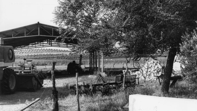 En este cortijo de Paradas, apareció el cadáver de Manuel Zapata, el capataz y principal sospechoso de la muerte de las otras cuatro personas que fueron halladas en la misma finca. Zapata, que fue encontrado con la cabeza destrozada a golpes, murió el mismo día, que los otros cuatro trabajadores y, con él, las claves de unos de los crímenes que más conmocionaron a la sociedad española. EFE/jgv
