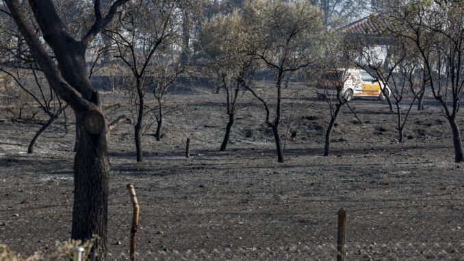 Imagen de la zona quemada en el incendio forestal declarado en la localidad madrileña de Loeches. EFE/ J.P.Gandul
